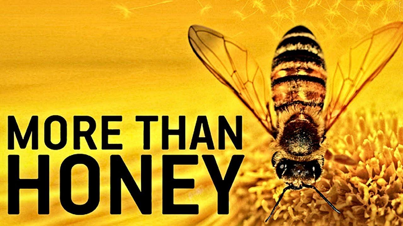 More than Honey - Bitterer Honig