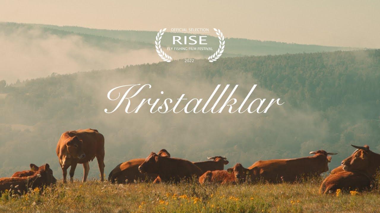 Kristallklar - A Fly Fishing Short Film