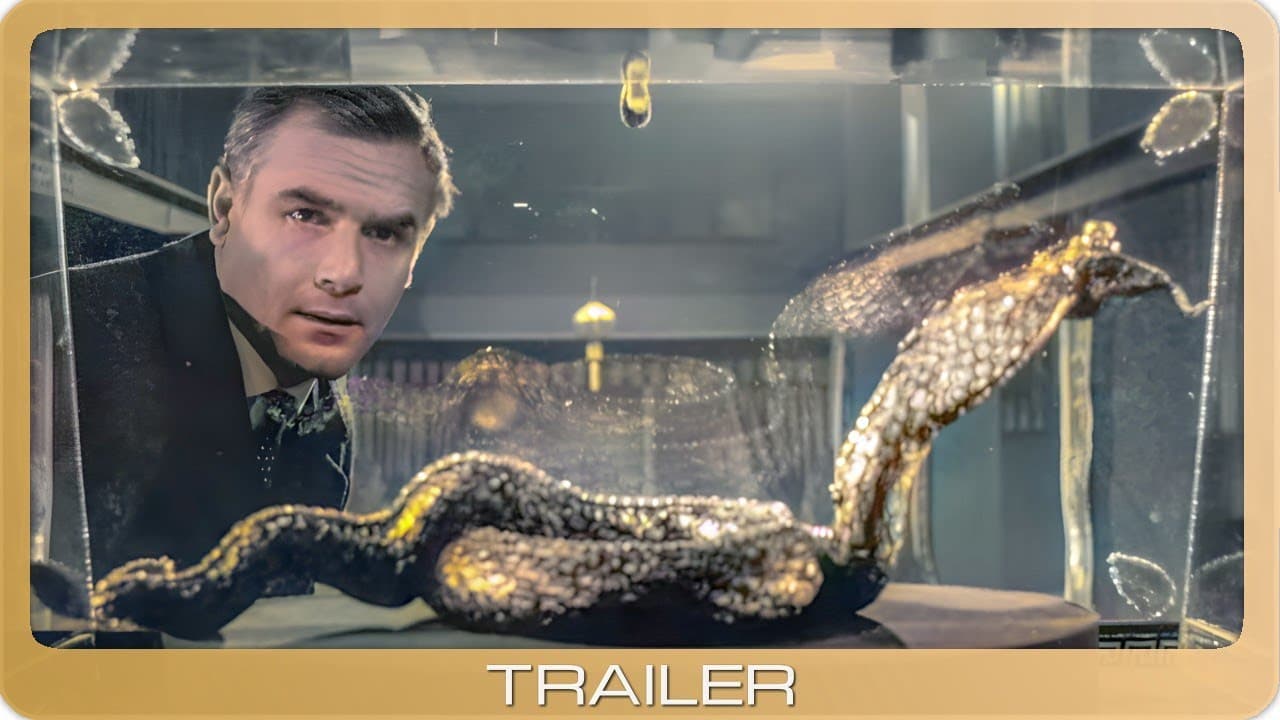 Edgar Wallace - Der Fluch der gelben Schlange
